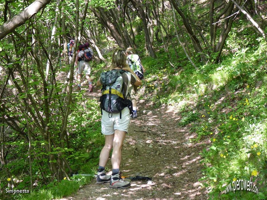 05 Gila e i suoi scatti nel sottobosco.JPG